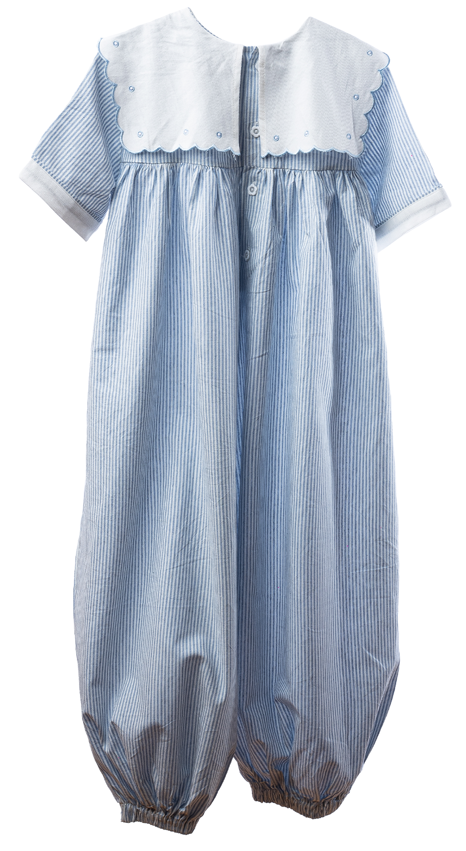 ENTERITO ASTROMELIA AZUL