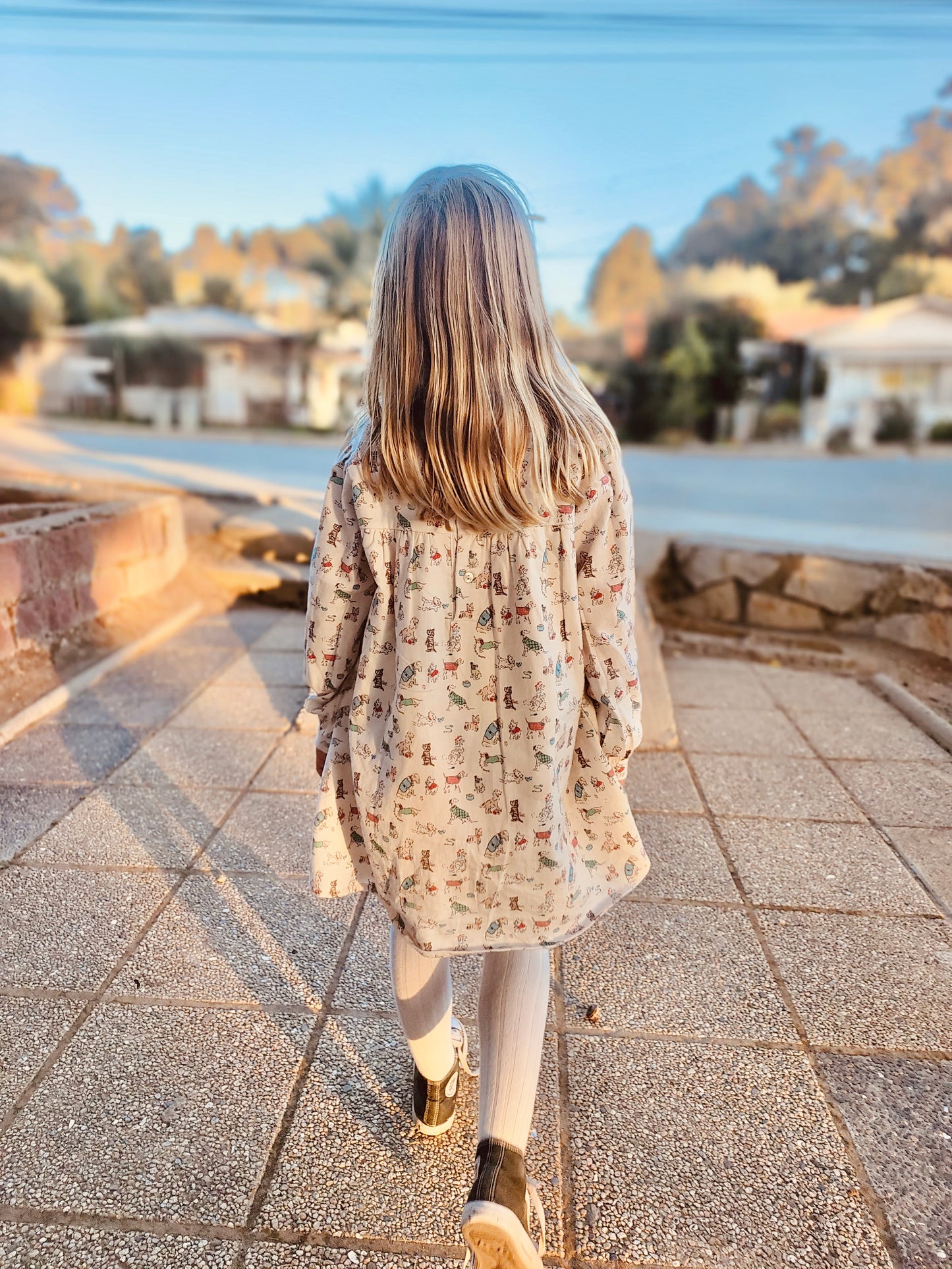 VESTIDO DINAMARCA PERRITOS HERMANA MAYOR