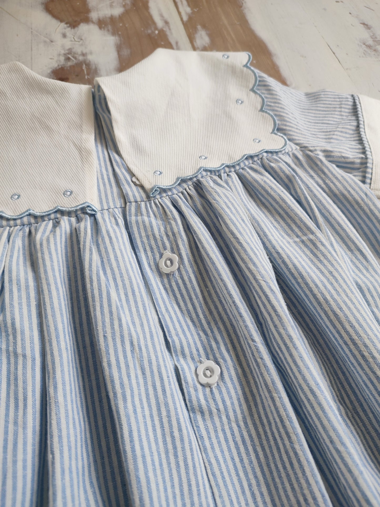 Enterito Astromelia Azul